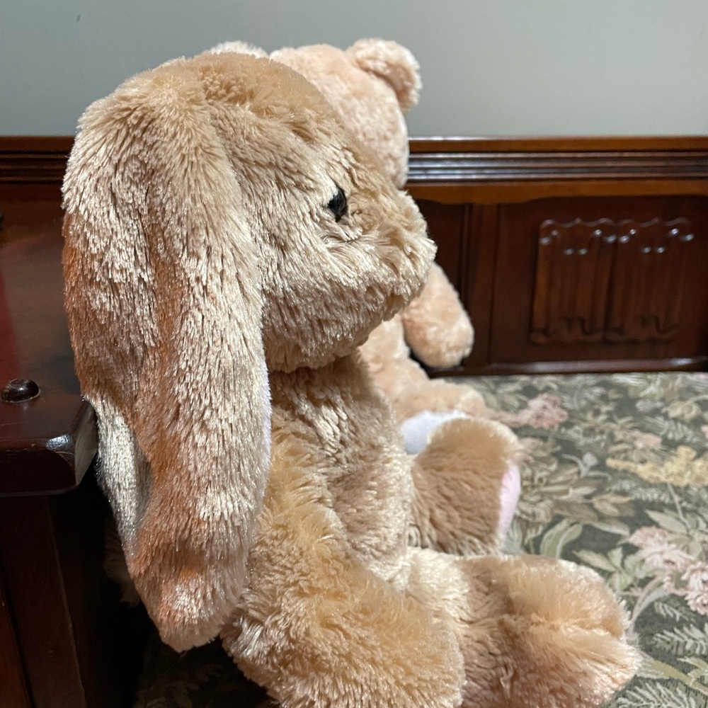 Build-A-Bear rabbit and bear set. - Picture 7 of 13
